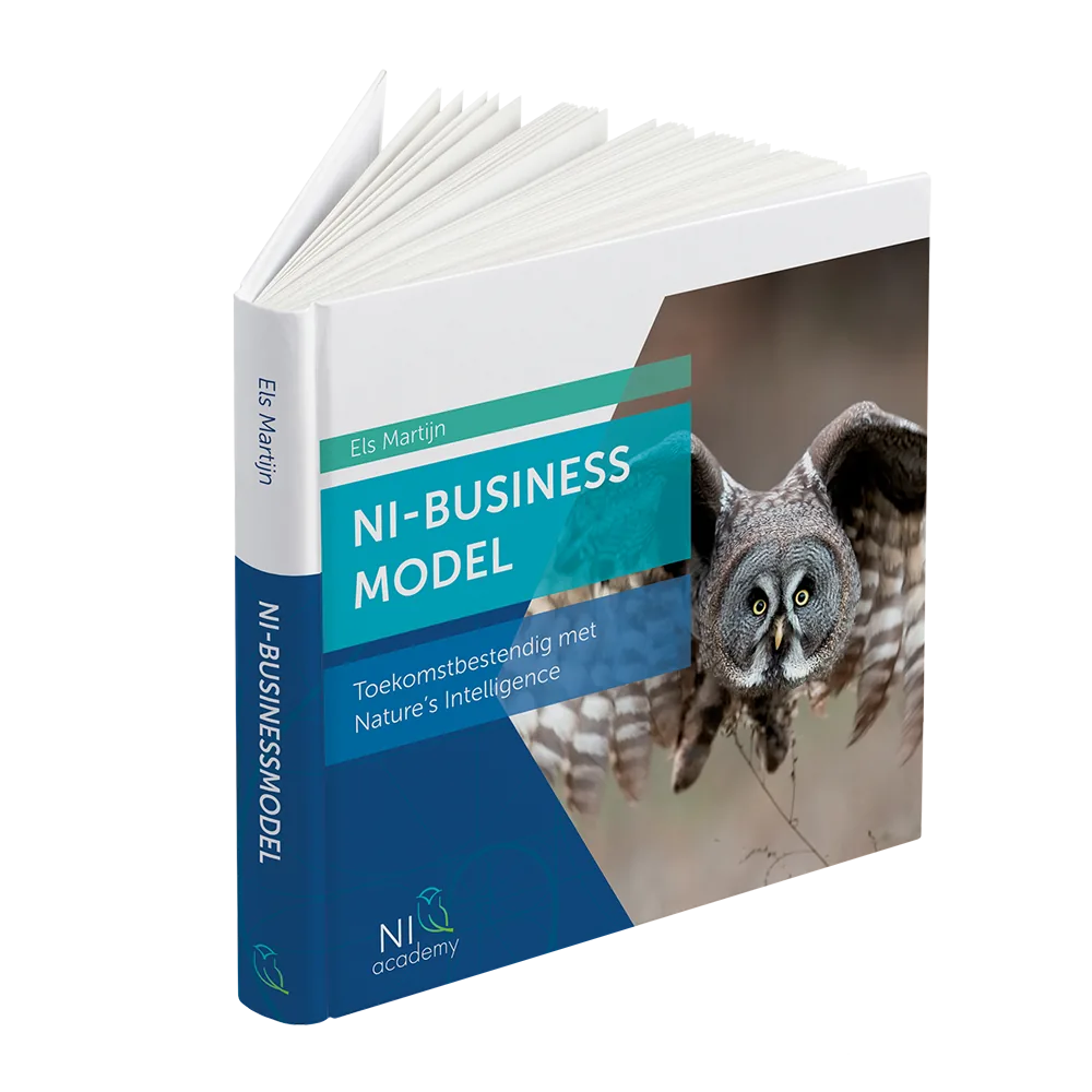 NI Business Model